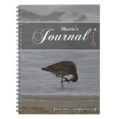Journal des lignes Sandpiper (Devant)
