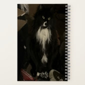 Journal des puces de discussion de chat (Verso)