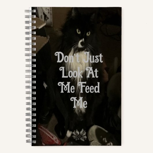 Journal des puces de discussion de chat (Recto)