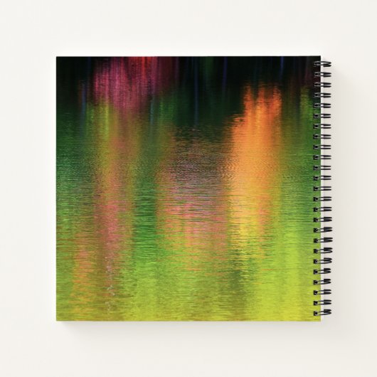 Journal des réflexions (Dos)