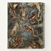 Journal des sorcières à double problème (Dos)