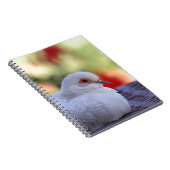 Journal d'oiseau de colombe de diamant (Côté Droit)