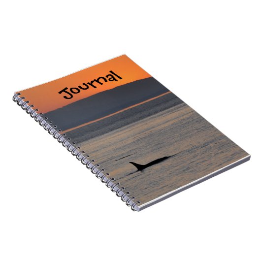 Journal d'orque de coucher du soleil (Côté Droit)