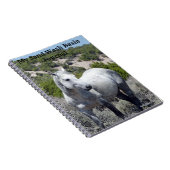 Journal du bassin de lavage du sable (Côté Droit)