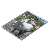 Journal du bassin de lavage du sable (Côté gauche)