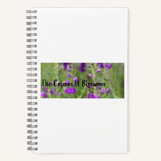 Journal du Cosmos (Recto)