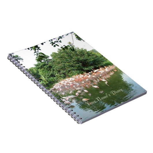 journal du groupe de flamants (Côté Droit)