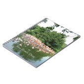 journal du groupe de flamants (Côté gauche)