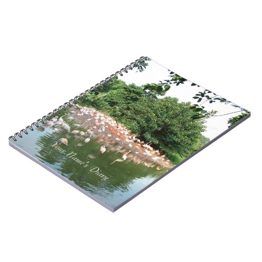 journal du groupe de flamants (Côté gauche)