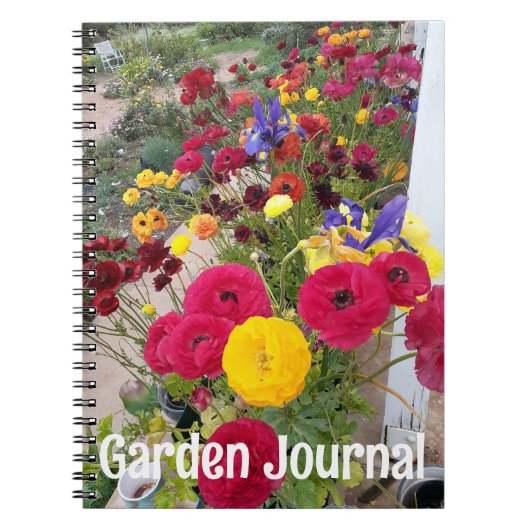 Journal du jardin Rannunculus Fleurs de printemps  (Devant)