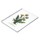 Journal Herbal de Pissenlit Jaune (Côté gauche)