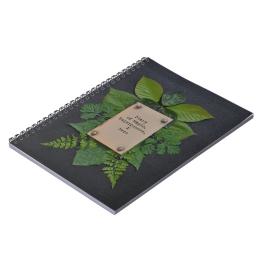 Journal intime des superpuissances (Côté gauche)