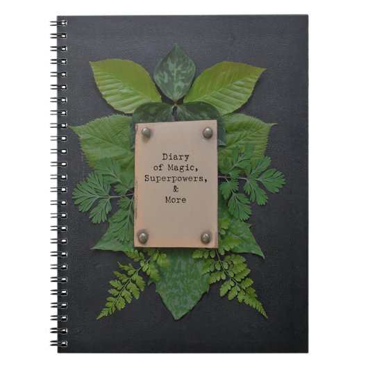 Journal intime des superpuissances (Devant)