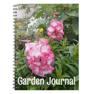 Journal Jardin Pendenstein rose Fleurs de printemp