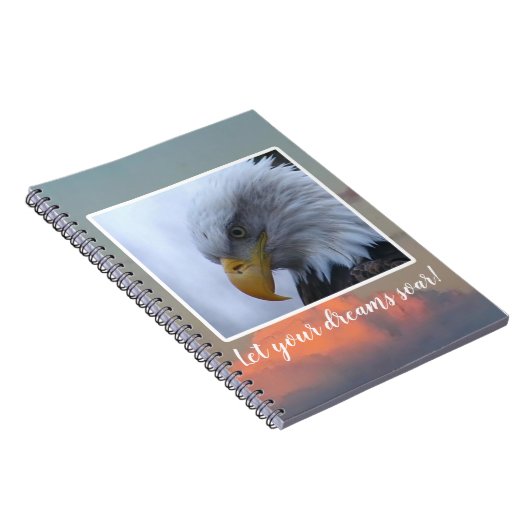 Journal : Laissez vos rêves exploser ! (Côté Droit)