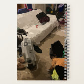 Journal Le voyage commence (Verso)