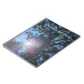 Journal - Light Always Finds the Way (Côté gauche)