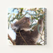 Journal mettant en vedette koala et wallabes en Au (Dos)