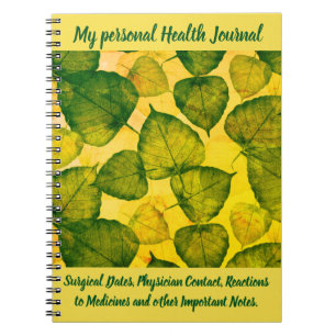Journal personnel de santé