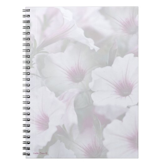 Journal Pétunias Blanc Et Rose (Devant)