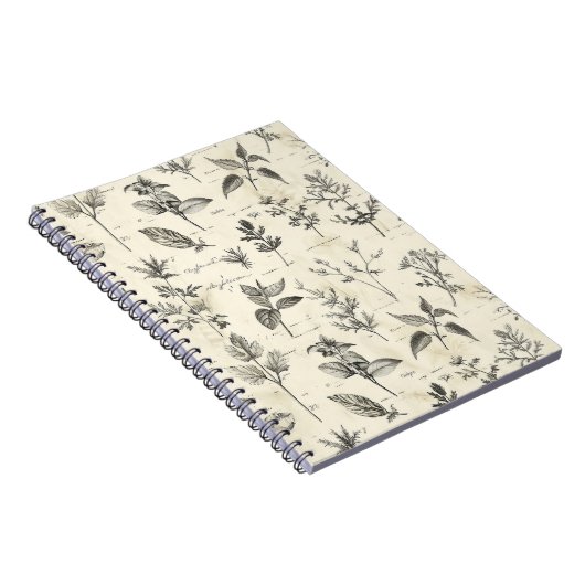 Journal quotidien des écrivains (Côté Droit)