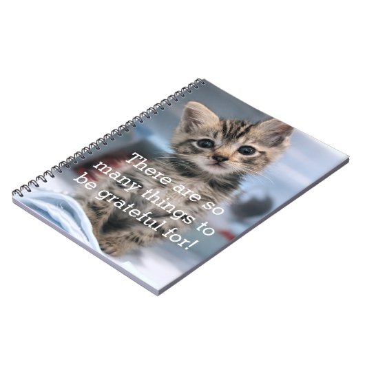 Journal reconnaissant de chaton (Côté gauche)