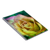 Journal rose ou Carnet (Côté Droit)