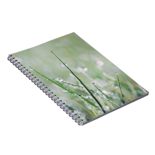 Journal Rosée-Couvert de blanc d'herbe (Côté Droit)