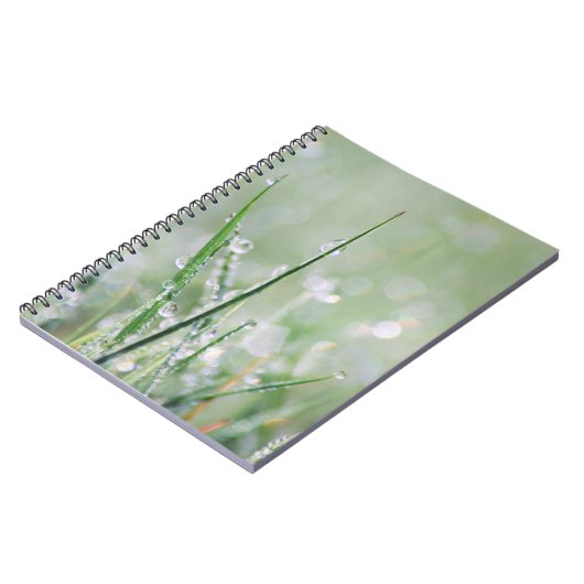 Journal Rosée-Couvert de blanc d'herbe (Côté gauche)