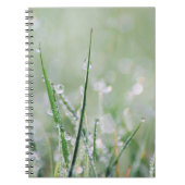 Journal Rosée-Couvert de blanc d'herbe (Devant)