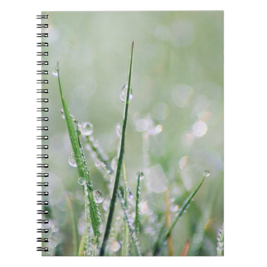 Journal Rosée-Couvert de blanc d'herbe (Devant)