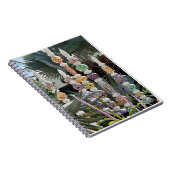 Journal with colorful glass (Côté Droit)