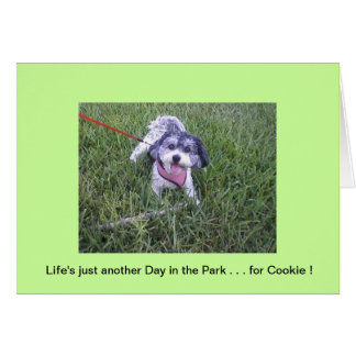 Journée dans le parc