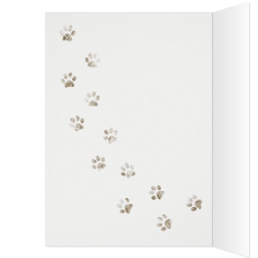 Journée internationale du chat (Intérieur (Gauche))