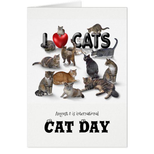 Journée internationale du chat (Devant)