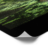 Journée mondiale du tigre, photo TIGER Poster (Coin)