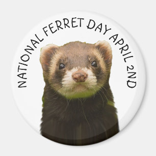 Journée nationale des furets 2 avril Magnet de vac