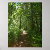 Journées d'été (6) Affiche (Devant)