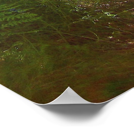 Journées d'été (6) Affiche (Coin)