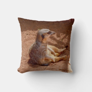 Jours de paresse de suricate, Coussin jeté.
