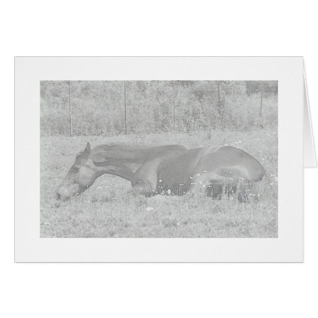 Jours d'été (Devant horizontal)