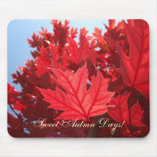 Jours doux d'automne ! Tapis de souris Feuilles d' (Devant)