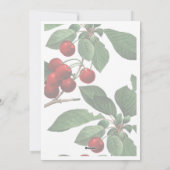 Jours francs | Carte Joyeux Noël Photo Holiday (Dos)