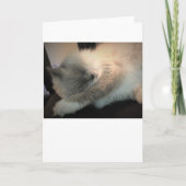 Jours lents, carte (Devant)