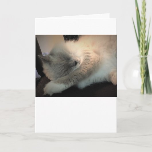 Jours lents, carte (Devant)