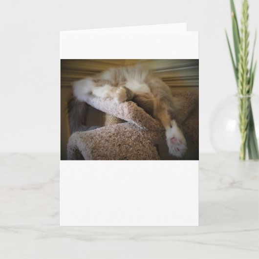 Jours lents, carte (Devant)