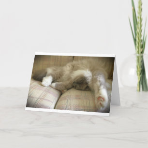 Jours lents, carte