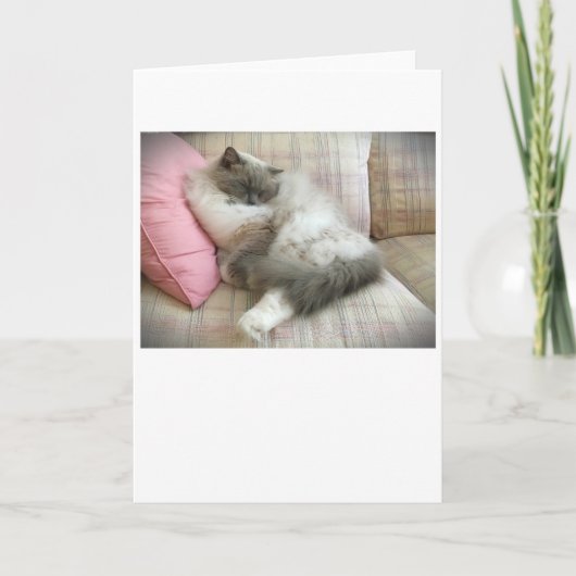 Jours lents, carte (Devant)