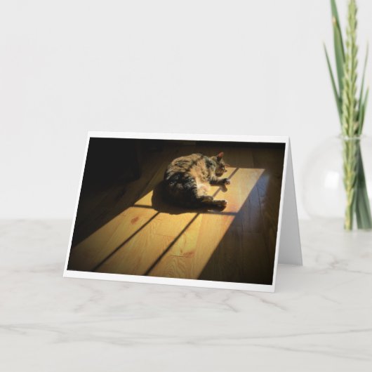 Jours lents, carte (Devant)