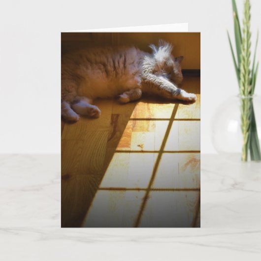 Jours lents, carte (Devant)